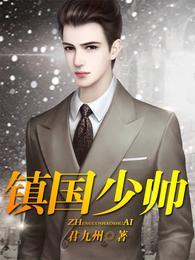 镇国龙帅的