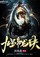 九星帝皇决心梦无痕
