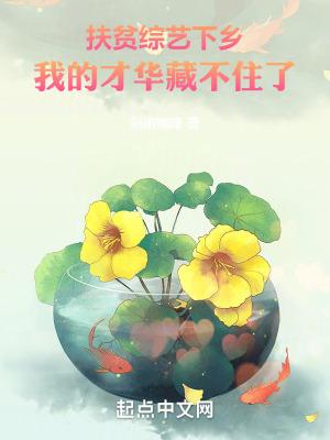 扶贫综艺节目的模式