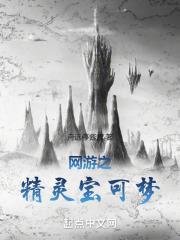 神奇宝贝之网游世界