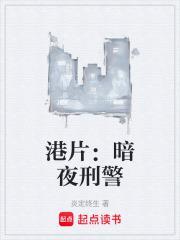 港片暗夜刑警最