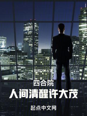 四合院人间清醒许大茂TXT