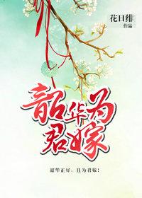 韶华为君嫁TXT电子书免费