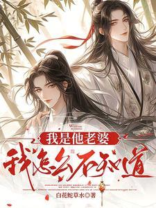 我是他的老婆粉