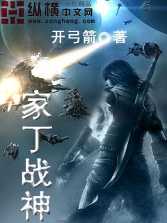 家丁传奇