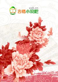 契约王妃3