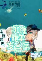 长腿欧巴女的是什么