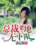 拐个总裁当爹地电视剧