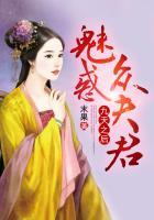 九天之后魅惑众夫君全文免费