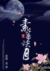 为妻不贤素华映月