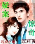 惊天奇案30
