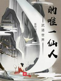 武道至尊陆泽