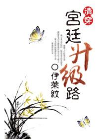 清穿后宫之哲哲