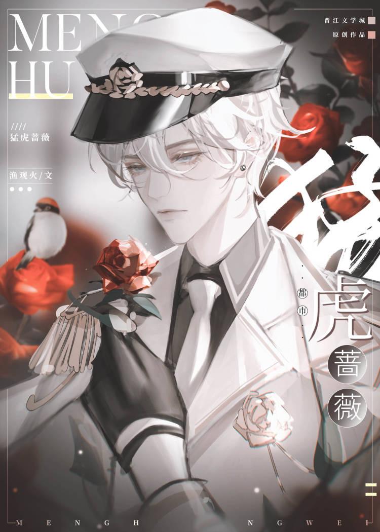 你家白月光