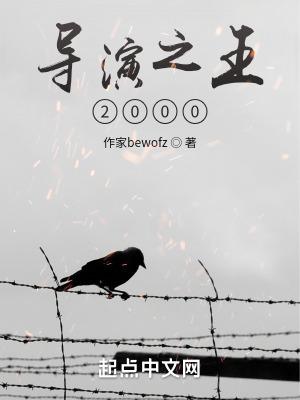 导演之王2000作者