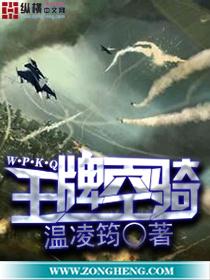 王牌龙骑士