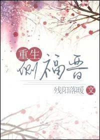 重生侧福晋守则