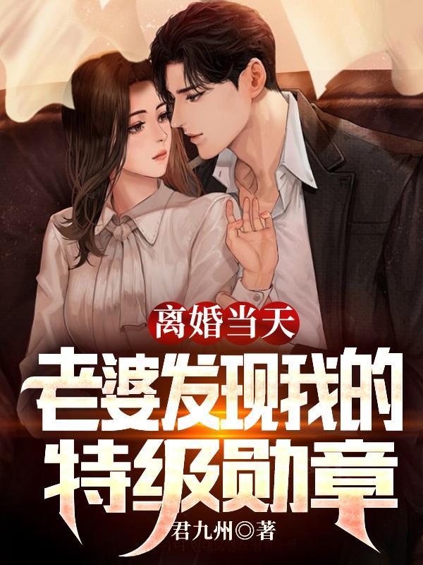 离婚当天老婆发现我的特级勋章全集
