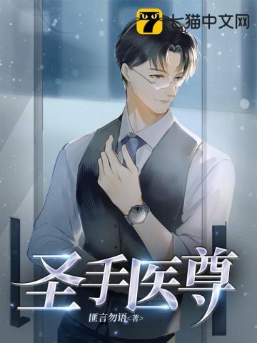 圣手神医全文阅读
