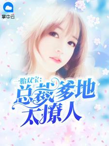 一胎双宝总裁爹地也太卖力