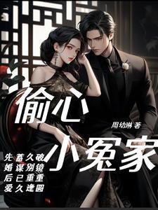 偷心冤家电视剧