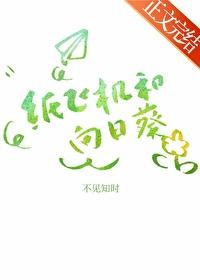 纸飞机和向日葵笔趣阁