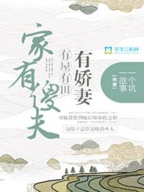 家有傻夫郎在线阅读