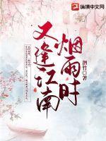 又逢江南烟雨时