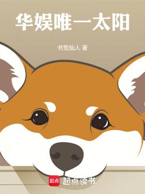 华娱唯一的太阳