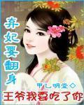 替嫁弃妃雪天傲圆房