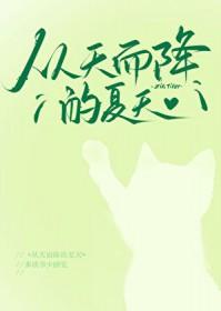从天而降的夏天by读书少睡觉