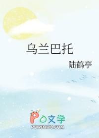 乌兰巴托的夜