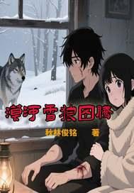 大漠雪狼网名啥意思