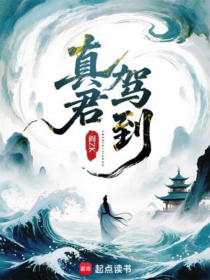 真君驾到阎ZK