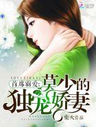 首席总裁的霸宠小甜妻