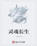 灵魂升天