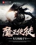魔王使魔汉化版