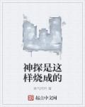 神探啥意思