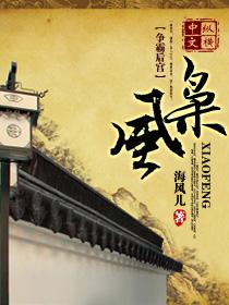 枭风9号400cc几个档