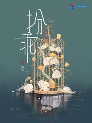 扮乖推荐