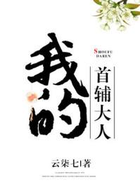 我的首辅大人言讱TXT