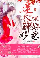 逆天神妃免费阅读