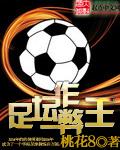 足坛抢断王