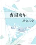 夜阑京华讲的什么