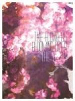 年花图片大全