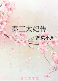 秦王太妃传讲的什么