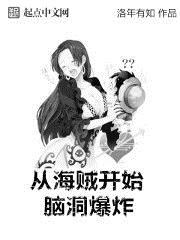 从海贼开始脑洞爆炸 起点