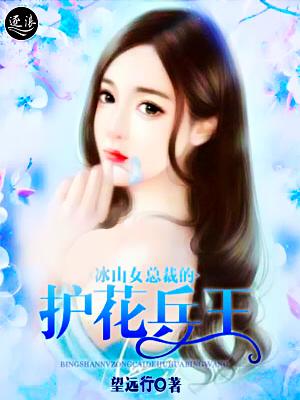 冰山总裁护花兵王叶寒苏倾月