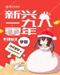 梦回新兴一九八零年奇书网