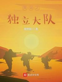 亮剑之独立大队电影免费观看